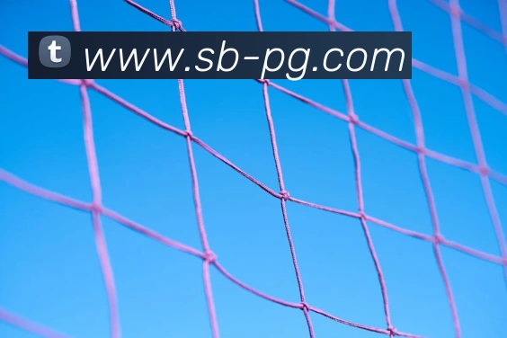 pg电子APP 封面图